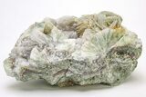 Green, Bladed Prehnite Crystals with Quartz - Morocco #214961-1